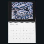 2025 Morelia Python Radio Calendar<br><div class="desc">The official 2025 Morelia Python Radio calendar. 
Every year,  we celebrate the MPR community by entering their favorite pictures of snakes,  both wild and captive.
We pick twelve winners from twelve different categories.</div>