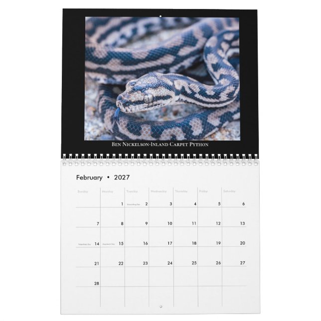 2025 Morelia Python Radio Calendar (Feb 2027)
