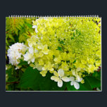 2025 My Rubio Garden Elegant Hydrangeas Calendar<br><div class="desc">2025 My Rubio Garden Calendar of Elegant Hydrangea Paintings</div>