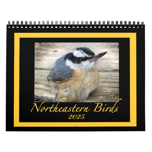 2025 Northeastern Bird Animal Nature Photography