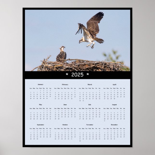 2025 Osprey Wall Calendar Poster (Front)