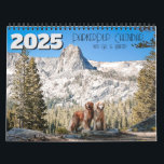 2025 ParkerPup Calendar ...with Gill & Walter<br><div class="desc">Get ready to brighten up your year with the 2025 ParkerPup Calendar! Featuring the charming duo, Walter and Gill, each month brings a new dose of joy and cuteness. Perfect for dog lovers and anyone who enjoys a touch of silliness, this calendar is a delightful way to keep track of...</div>