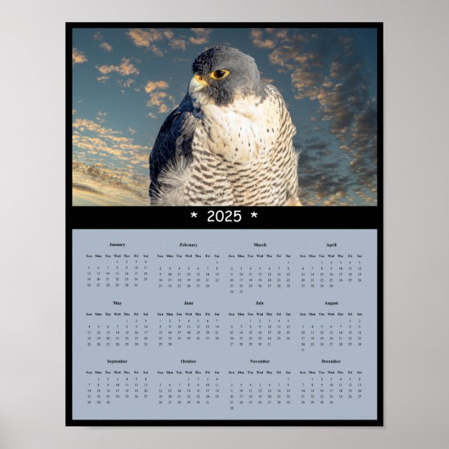 2025 Peregrine Falcon Calendar Poster (Front)