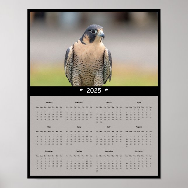 2025 Peregrine Falcon Calendar Poster (Front)