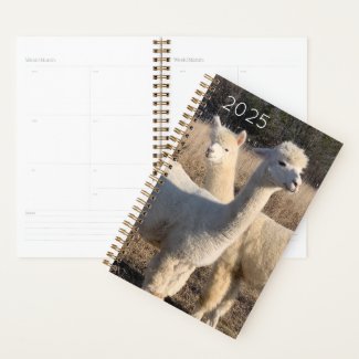 2025 Planner - Alpacas Abby & Bailey