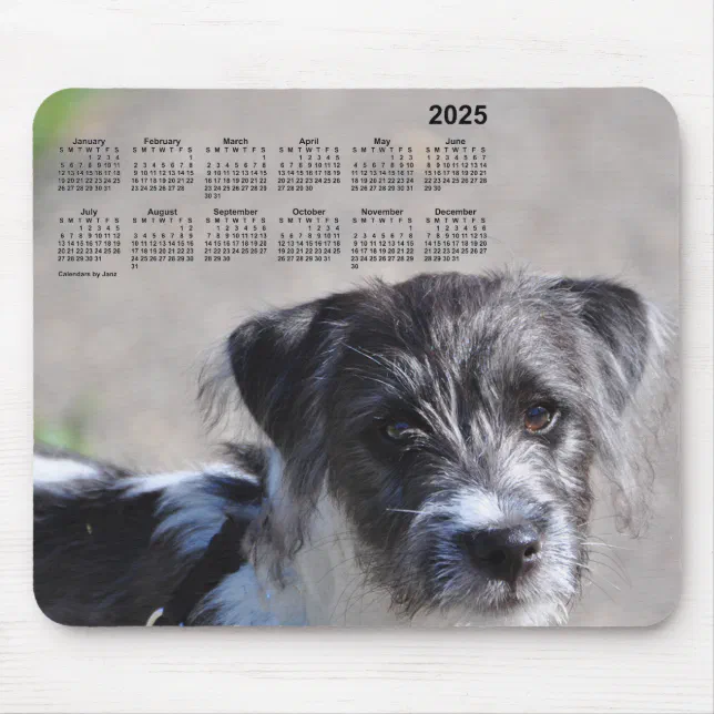 2025 Puppy Calendar by Janz Jack Russell Terrier Mouse Pad Zazzle