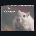 2025 Rat Calendar<br><div class="desc">This 2025 wall calendar feature is rat dog photography. Makes a great gift for rats lovers.</div>