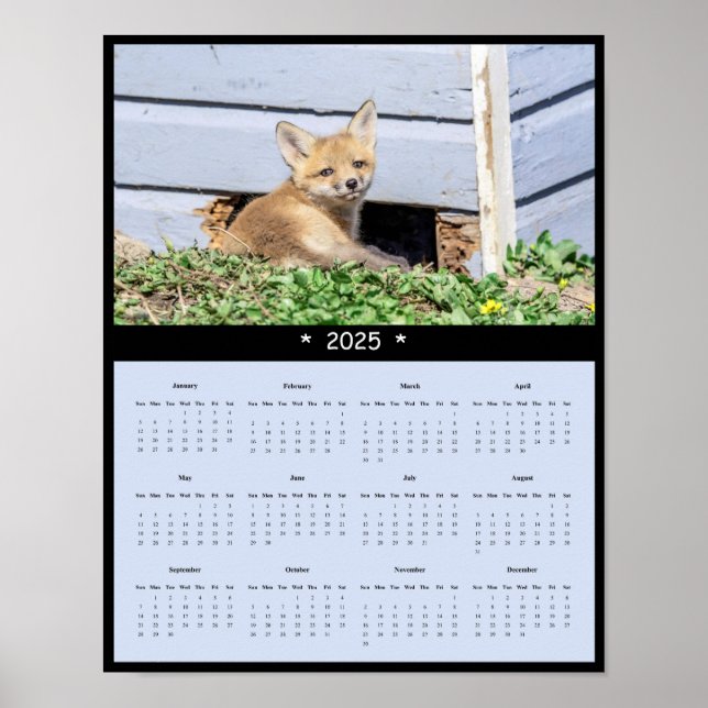 2025 Red Fox Kit Wall Calendar Poster (Front)