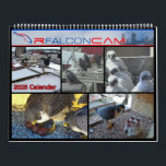 2025 Rfalconcam Calendar<br><div class="desc">Select this 2025 Calendar and each month you will be brought back to a collage of pictures from our cameras and watchers during our 2024 Rfalconcam season.</div>