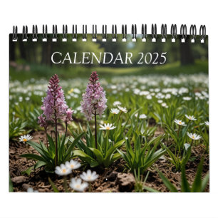 2025 Scenic Wall Calendar