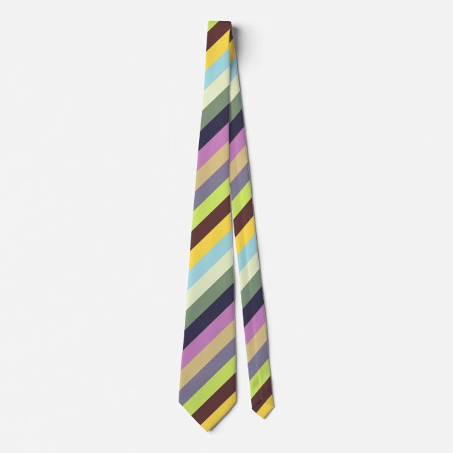 2025 Spring Summer Stripes Neck Tie (Front)