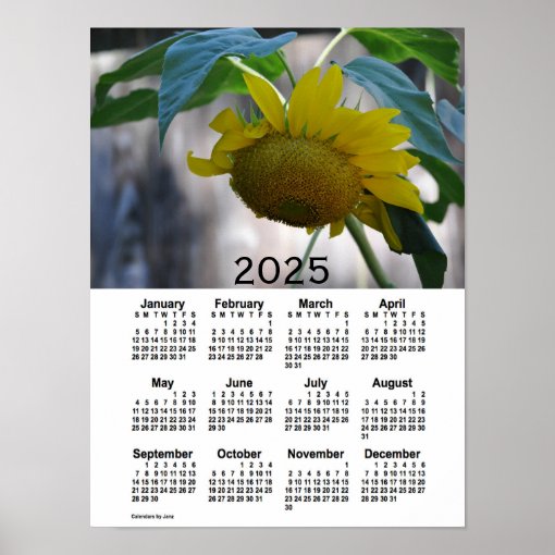 2025 Sunflower Calendar by Janz Poster Zazzle