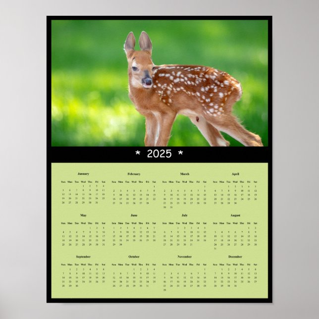 2025 White Tailed Deer Fawn Wall Calendar Poster (Front)