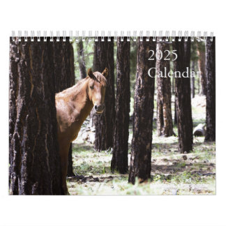 2025 Wild Horses Calendar To Support Twin Arrows