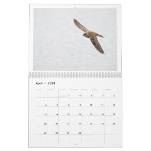 2025 Wildlife Photo Calendar