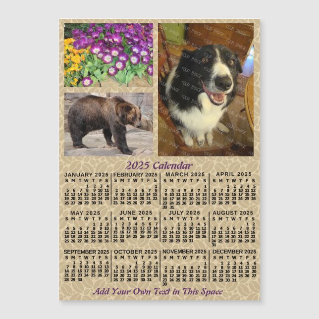2025 Year Calendar Coffee Beans 3 Photos Magnet (Front)