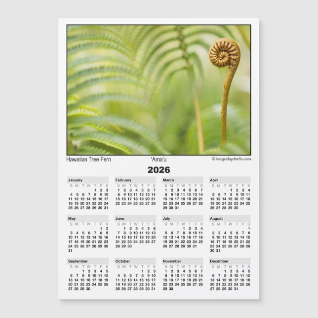 2026 5x7 Magnet Calendar Amau Hawaiian Fern (Front)