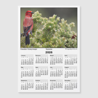 2026 5x7 Magnet Calendar Apapane Hawaiian Bird