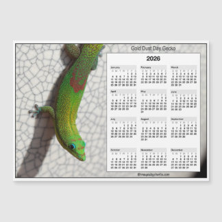 2026 5x7 Magnet Calendar Gold Dust Day Gecko