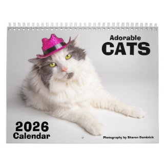 2026 Adorable Cats Calendar Photograpghy