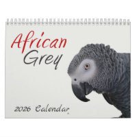 2026 African Grey Parrot Calendar