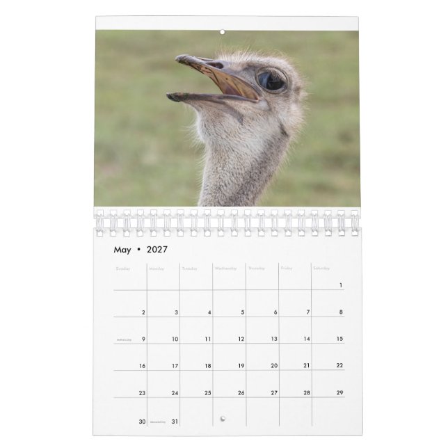 2026 Animal Calendar (May 2027)