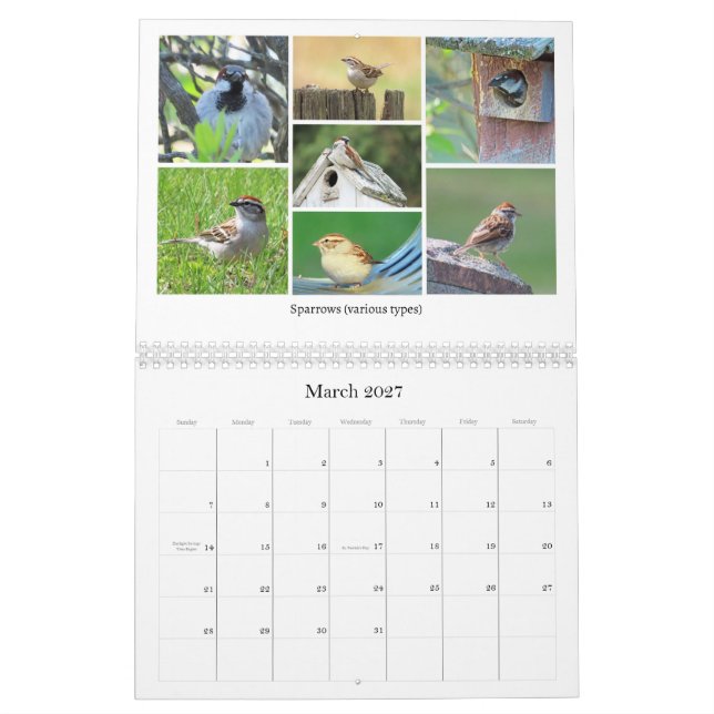 2026 Backyard Birding Calendar (Mar 2027)