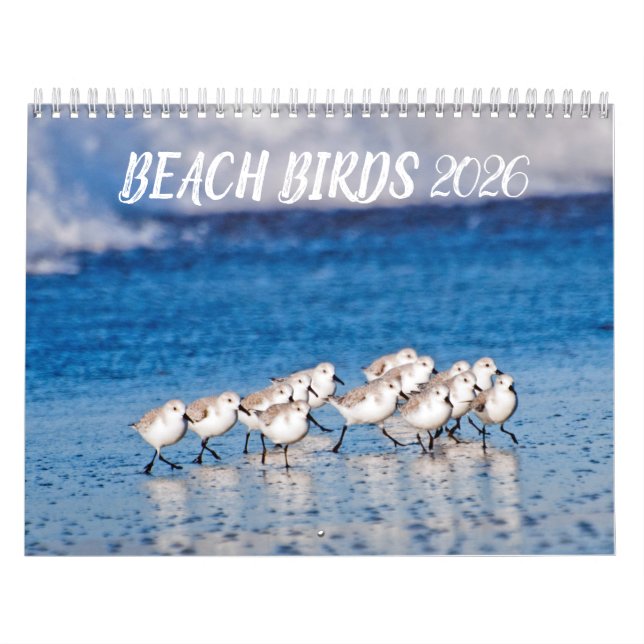 2026 Beach Birds Photography Calendar (Cover)