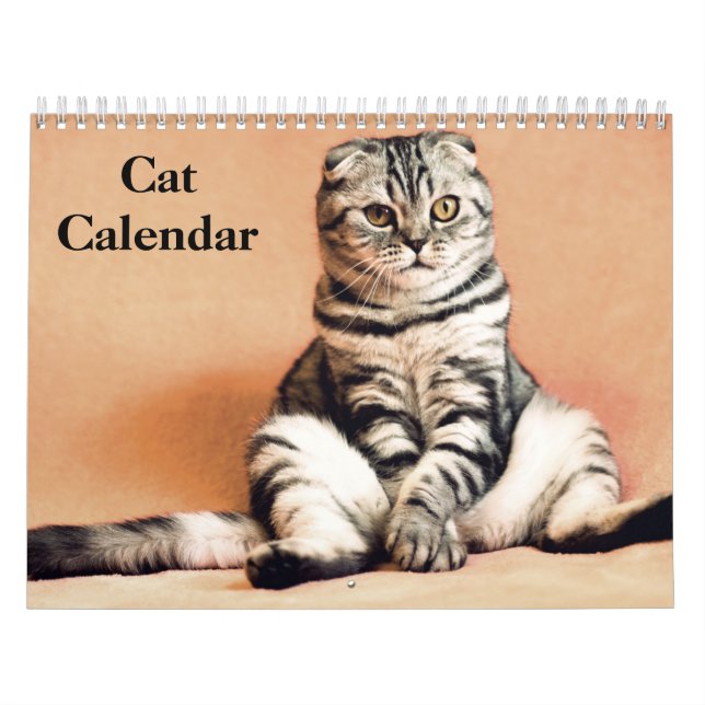 2026 Bengal Cat  Calendar (Cover)