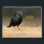 2026 - Birds of the Lower Rio Grande Valley Calend Calendar<br><div class="desc">Original photographs by Tom Spine. These thirteen photographs were taken in early May, 2025 at the Santa Clara Ranch in the Texas Lower Rio Grande Valley. The Santa Clara Ranch, a 300-acre parcel of native South Texas brush operating under a conservation easement, is the area’s premier destination for nature and...</div>