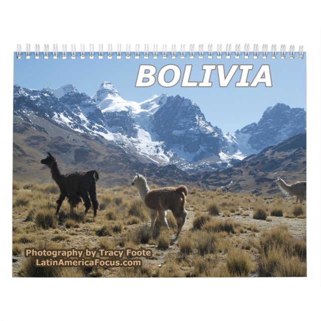 2026 Bolivia Snow Mountain Wall Calendar (Cover)