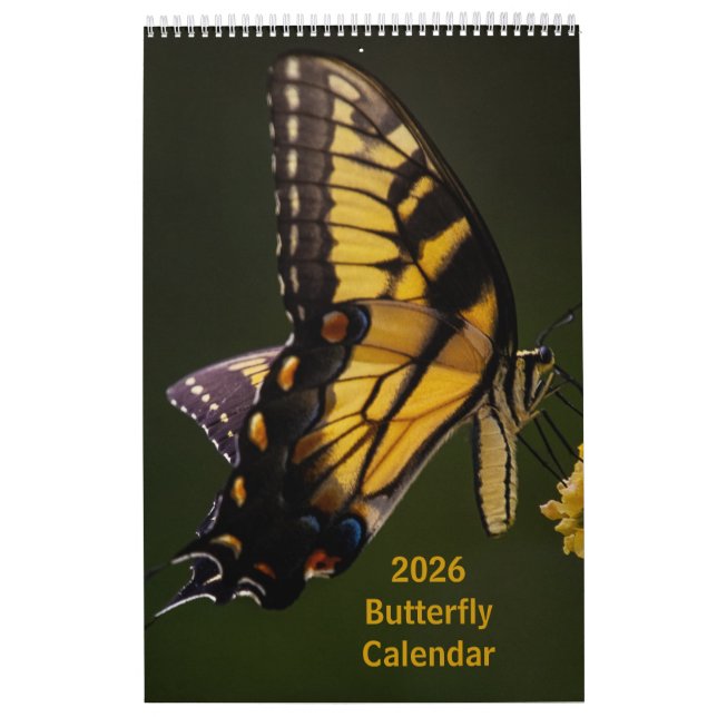 2026 Butterfly One Page Calendar (Cover)