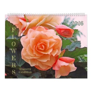 2026 CALENDAR/