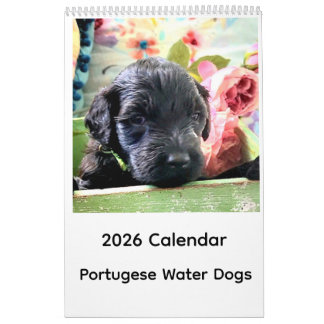 2026 Calendar Portuguese Water Dog