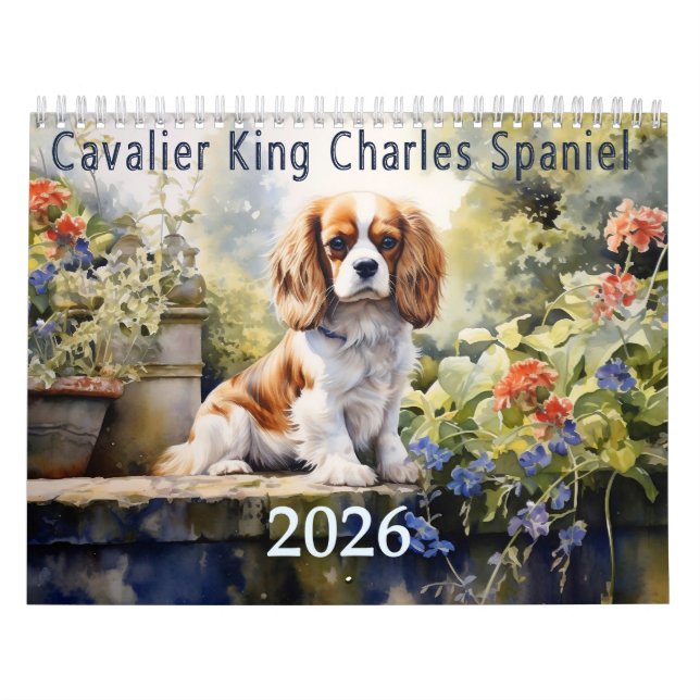 2026 Cavalier King Charles Spaniel  Calendar (Cover)