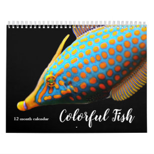 2026 Colorful Fish Calendar