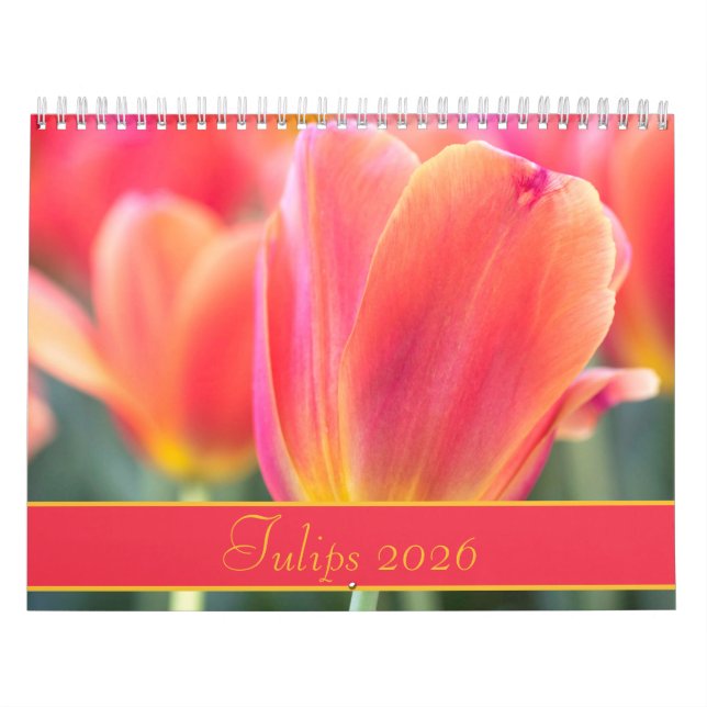 2026 Colorful Tulips Photography Calendar (Cover)