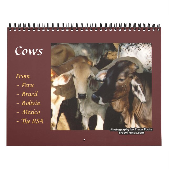 2026 Cow Farm Animals Wall Calendar (Cover)