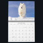 2026 CRB Calendar<br><div class="desc">The 2026 adventures of Coconut Rice Bear!

Instagram: @coconutricebear</div>
