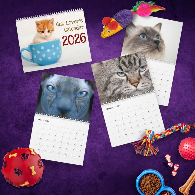 2026 Cute Cat Breeds Photo – for Cat Lovers Calendar (Creator Uploaded)