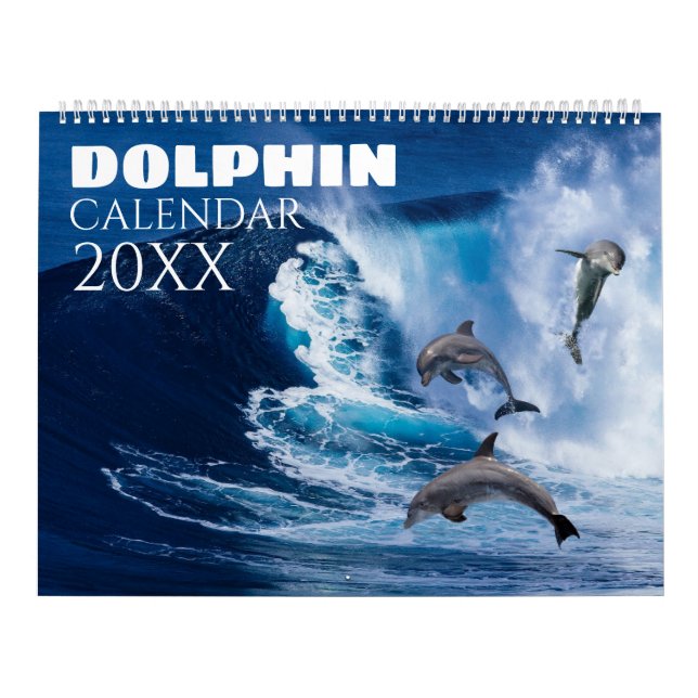 2026 Dolphin Wall Calendar Sealife Nature (Cover)