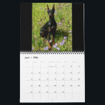 2026 DT Calendar<br><div class="desc">2026 dobermantalk calendar</div>