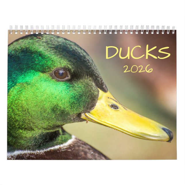 2026 Ducks Photography Calendar (Cover)
