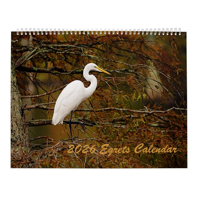 2026 Egrets Calendar (Cover)