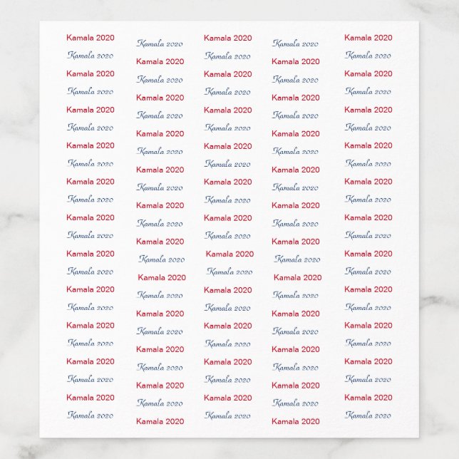 2026  Election Candidate Template Step and Repeat Envelope Liner (Design)