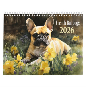 2026 French Bulldog Calendar