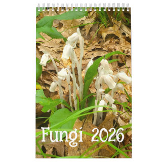 2026 Fungi Calendar