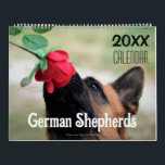 2026 German Shepherd Dog Wall Calendar Animal<br><div class="desc">This german shepherd 2026 calendar is filled with a different photo for every month of the year.</div>