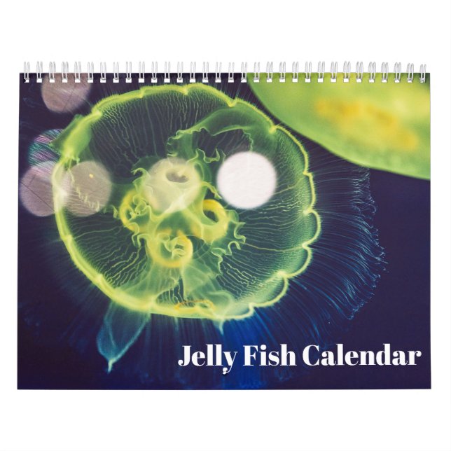 2026 Jellyfish Calendar (Cover)