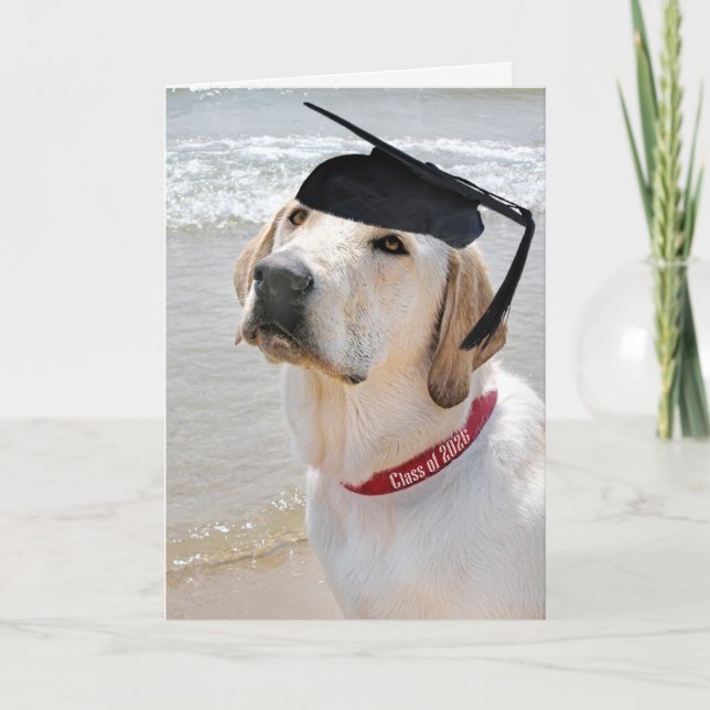 2026 Labrador Retriever With Graduation Cap Card (Front)